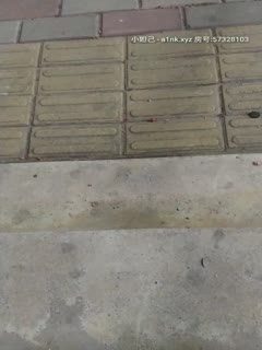 6Laz55aX5bqX5bCP57KJ54GvX+WVquWVql8yMDIxMDIxNg==