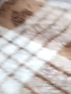 5bm06L275bCP5oOF5L6jX+WVquWVql8yMDIxMDIwOQ==
