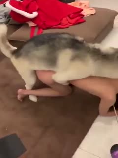 5aaI55qE77yM6L+Y5rKh54uX5bm456aP5ZGi44CC