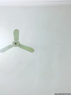 I+WTreS6hueahOWwj+WNgeS5nSAx