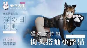 5YWU5a2QVFowNDbooZflpLTmkK3orqrmt6vnjKsu