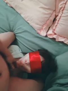 PGVtPjkxPC9lbT7mtrXoj7EgKDE3KQ==